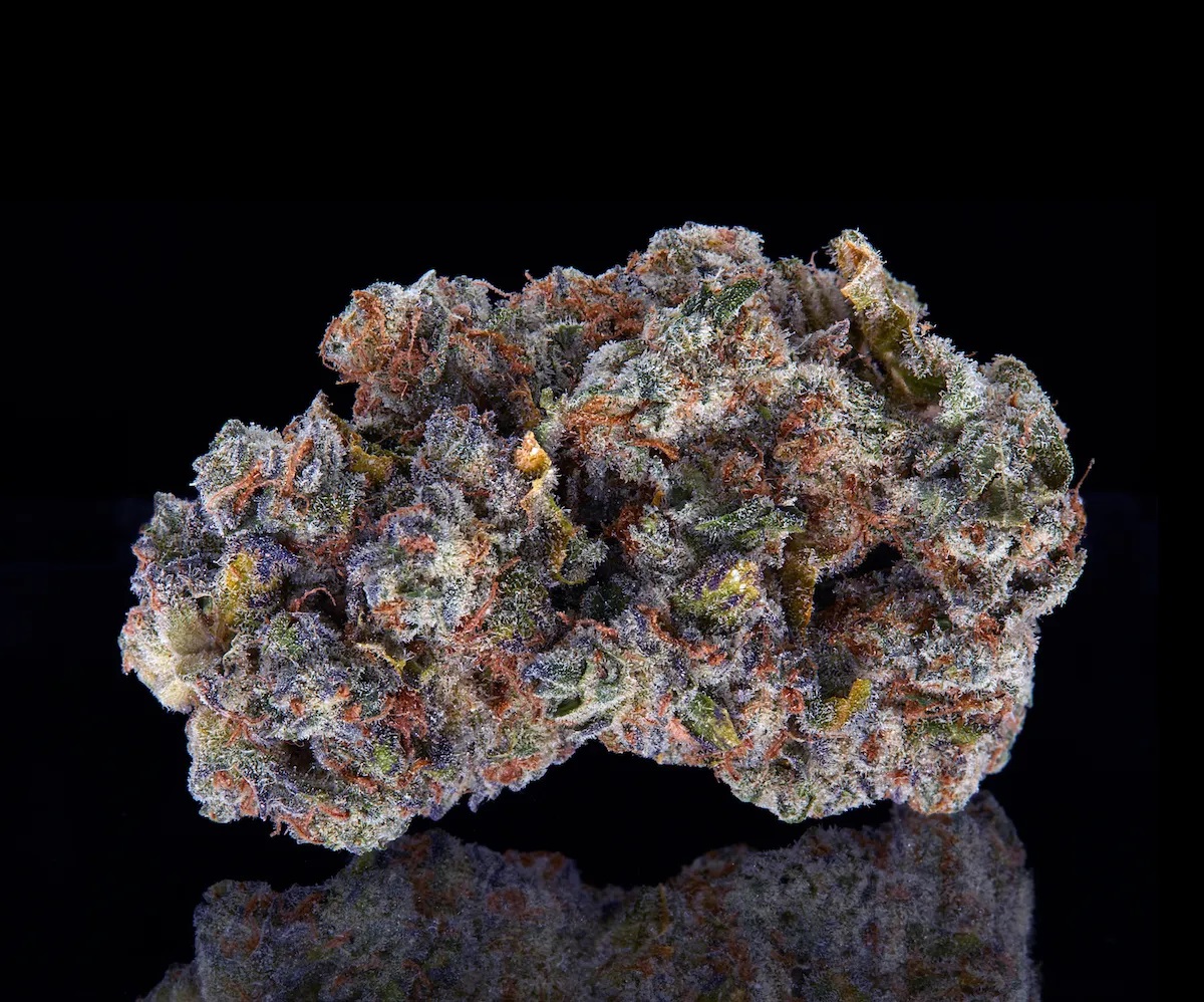 Sundae Driver Cannabis Strain